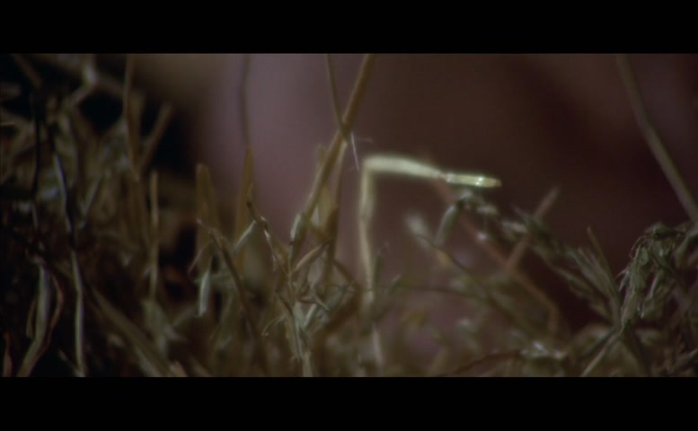 Marcia McBroom in Beyond The Valley Of The Dolls, photo 13