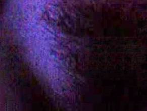Cayetana Guillen Cuervo in Not Love, Just Frenzy, photo 7