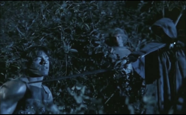 Lana Clarkson in Deathstalker, photo 9