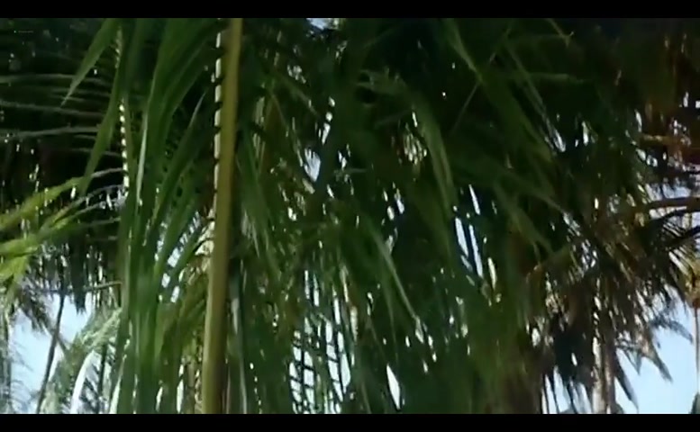 Sandrine Holt in Rapa Nui, photo 17