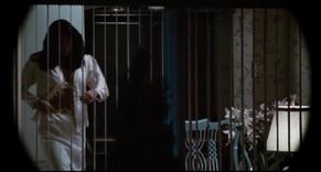 Deborah Shelton in Body Double, photo 18