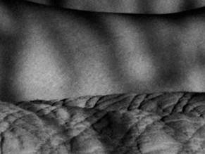 Sylvia Camarda in The Strange Color Of Your Body's Tears, photo 17