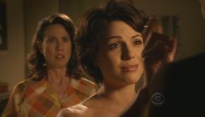 Lana Parrilla in Swingtown, photo 29