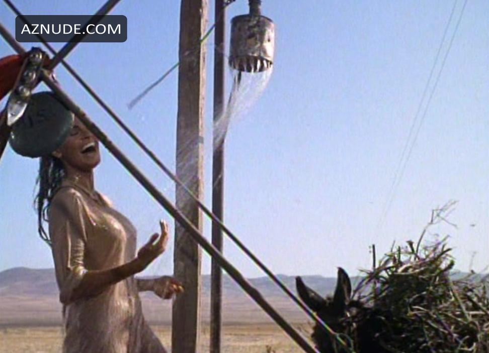 Raquel Welch in 100 Rifles, photo 1