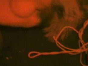 Annette Sinclair in Hide And Go Shriek, photo 29