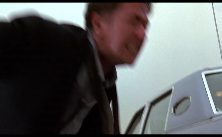 Lena Olin in Romeo Is Bleeding, photo 16