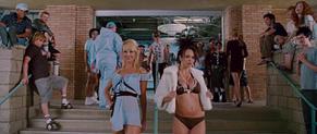 Diora Baird in Accepted, photo 28