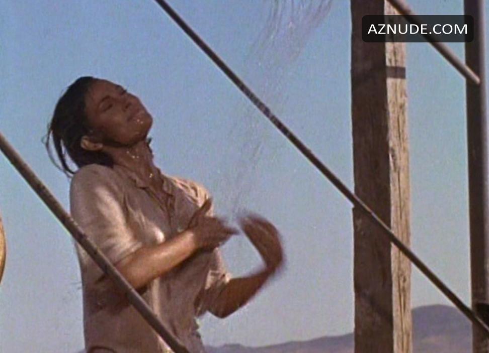 Raquel Welch in 100 Rifles, photo 3