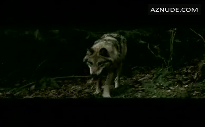 Kata Dobo in Blood And Chocolate, photo 1