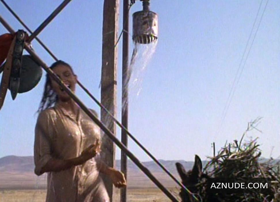 Raquel Welch in 100 Rifles, photo 1
