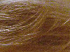 The Holiday in The Holiday, photo 6