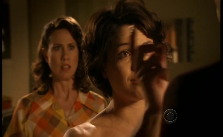 Lana Parrilla in Swingtown, photo 55