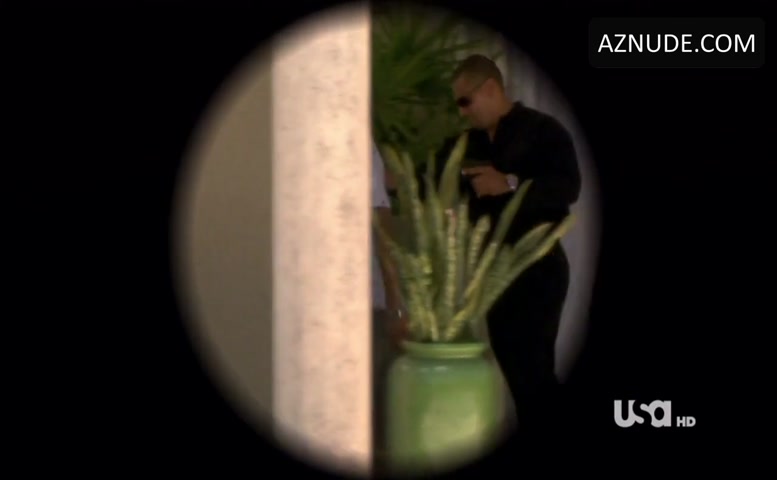 Burn Notice (2007-2011) in Burn Notice (2007-2011), photo 35