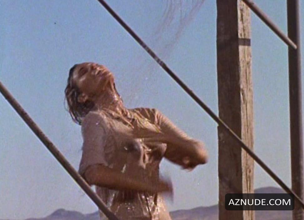 Raquel Welch in 100 Rifles, photo 4