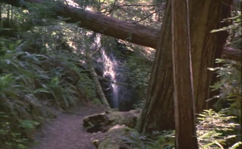 Hilary Swank in Heartwood, photo 9